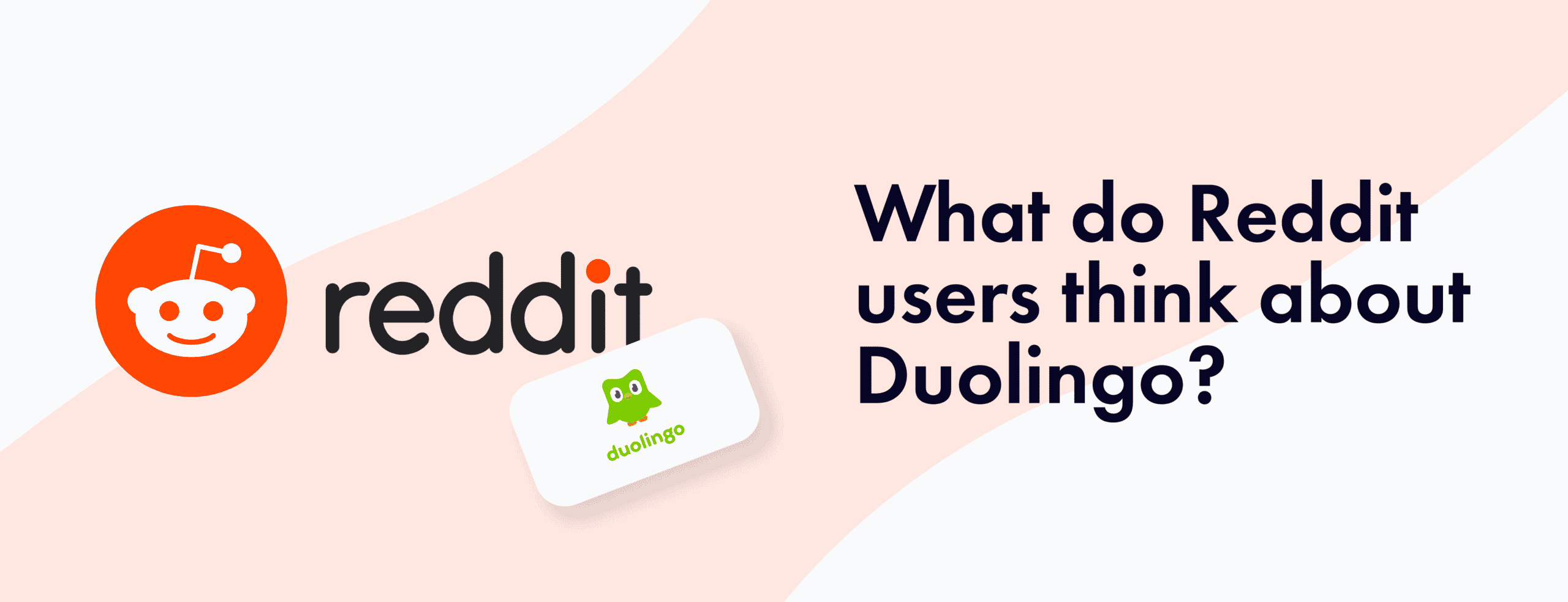 What Do Reddit Users Think About Duolingo?